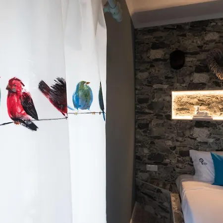 Y - Boutique شقة *